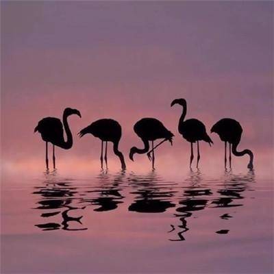 适合好运连连的头像(优选22张)