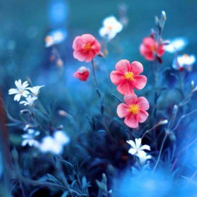 适合好运连连的头像(优选22张)