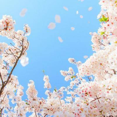 适合好运连连的头像(优选22张)