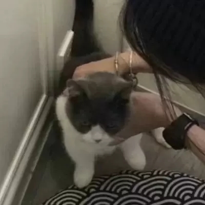 超甜超可爱的情侣头像(20张)