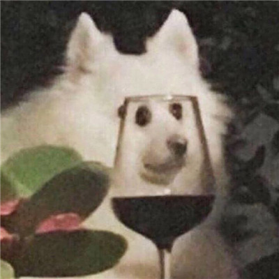 让人一眼记住的头像(优选20张)