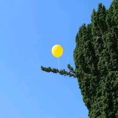 2023年幸运头像图片(24张)