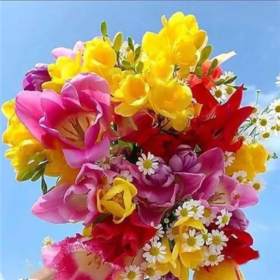 2023年幸运头像图片(24张)