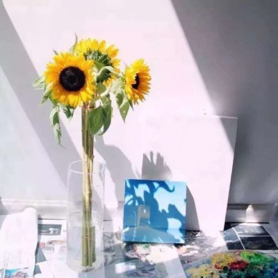 好看的微信头像向日葵图片唯美(18张)