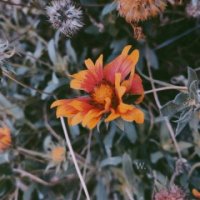 高清优美的微信风景头像图片大全(优选24张)