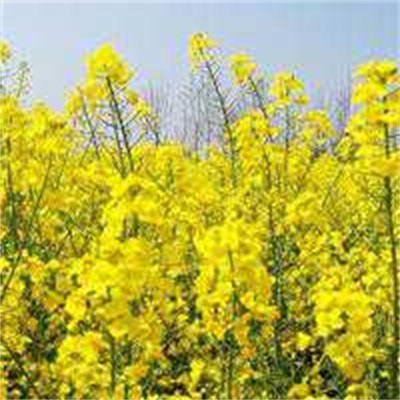 高清优美的微信风景头像图片大全(优选24张)