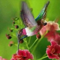 高清优美的微信风景头像图片大全(优选24张)