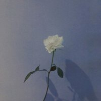 高清优美的微信风景头像图片大全(优选24张)