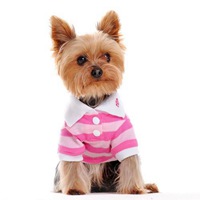 最近特别火的穿衣服狗头像(精选16张)