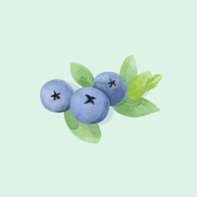 适合做头像的水果图片(16张)